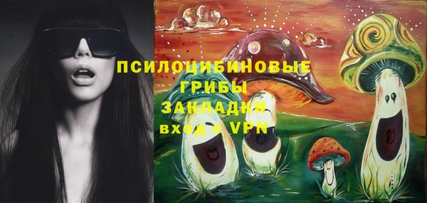 стафф Вяземский