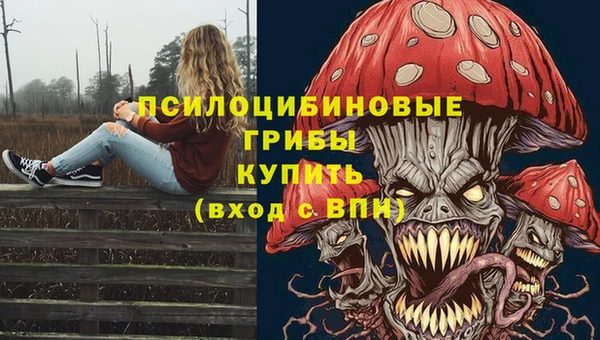 крисы Горнозаводск